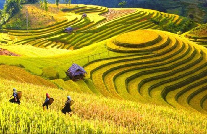 Hong Minh Guesthouse Mu Cang Chai Bagian luar foto